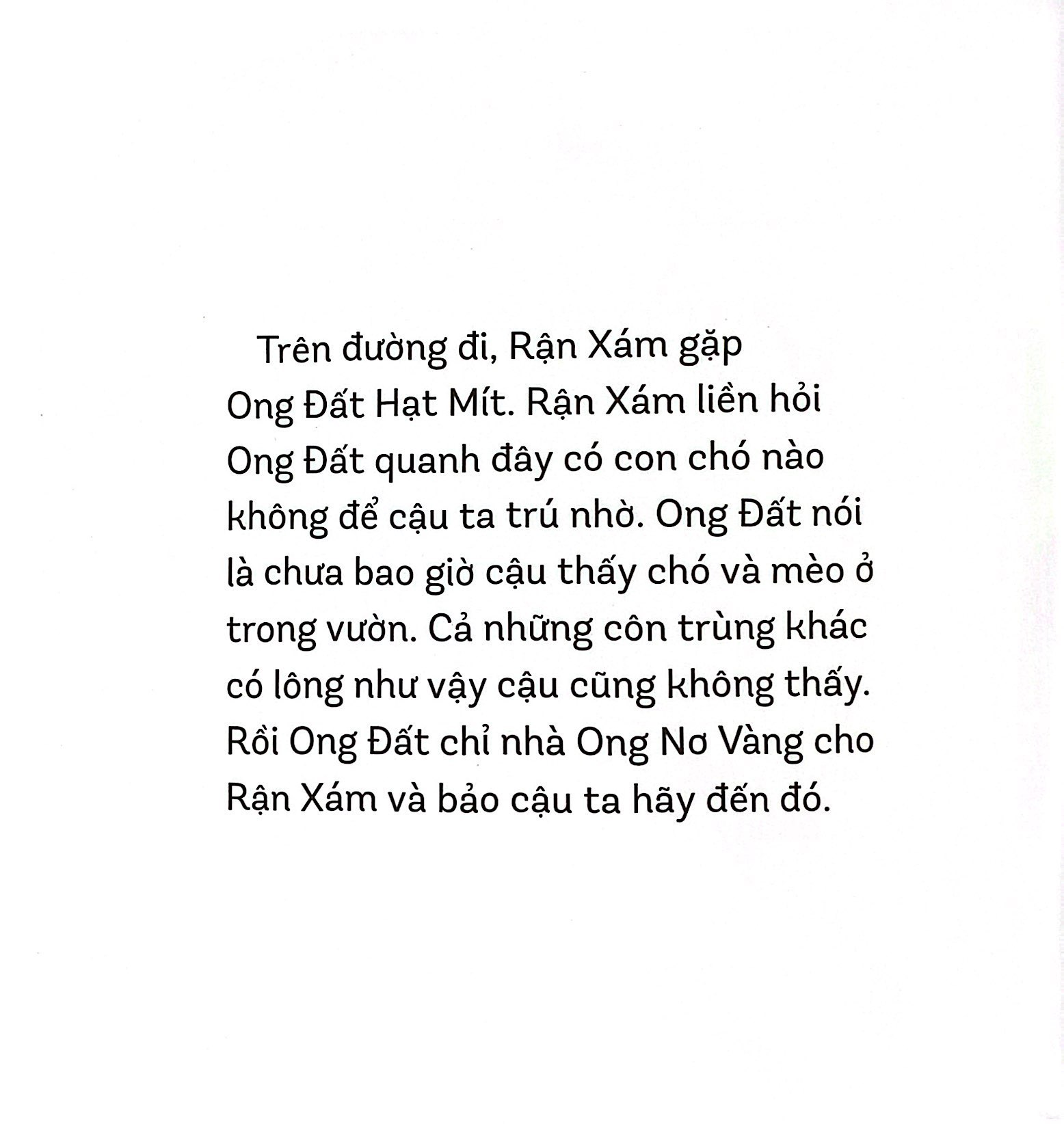 chuyện kể cho bé - cậu rận xám - Ảnh 5