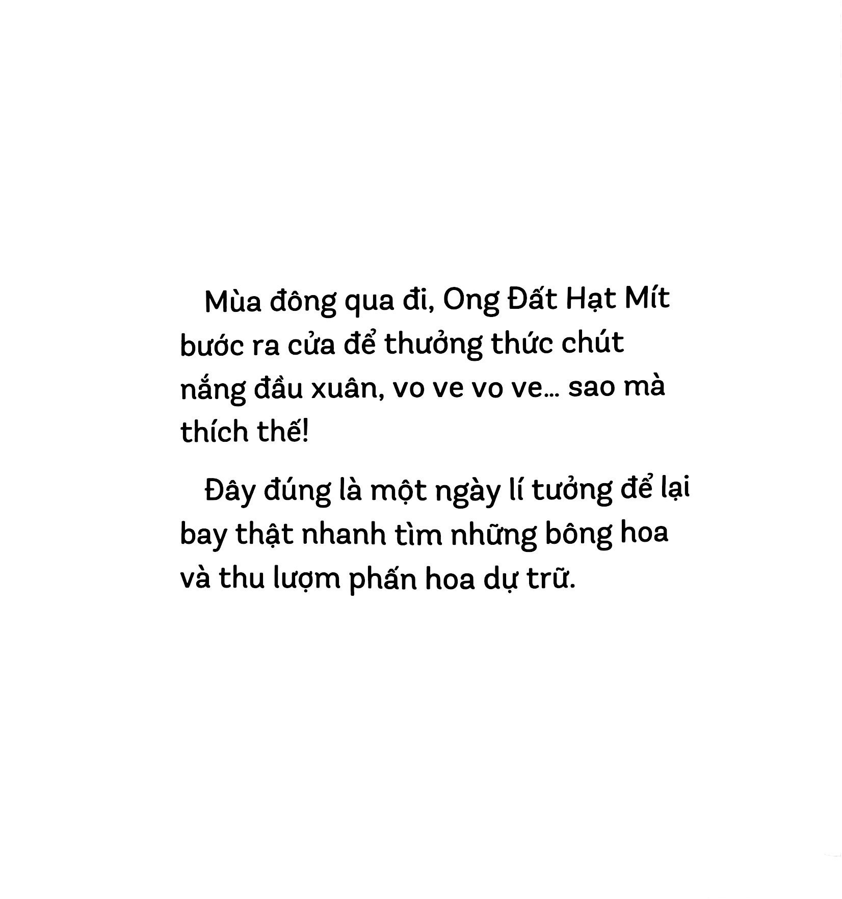 chuyện kể cho bé - ong đất hạt mít - Ảnh 5