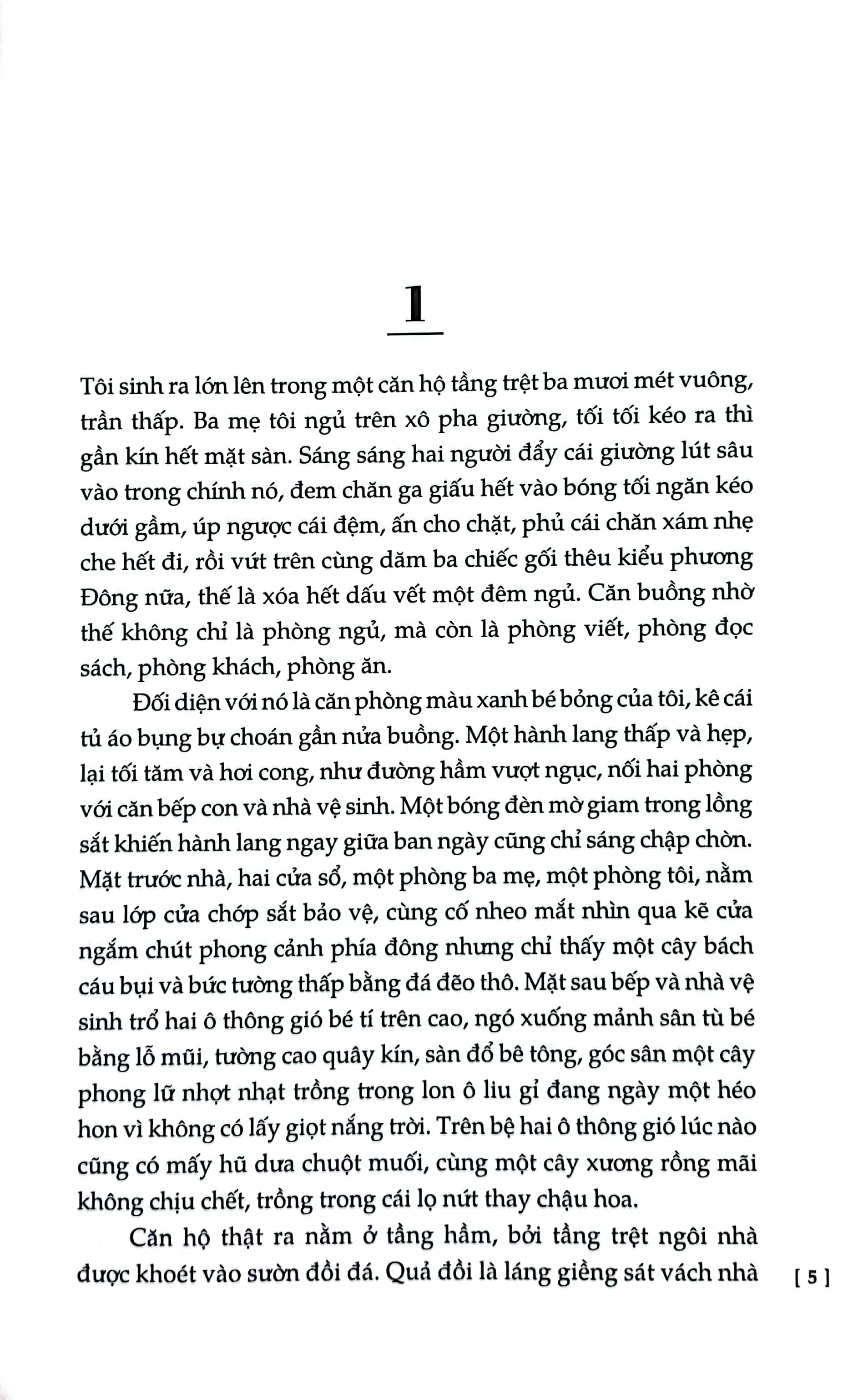 chuyện kể về tình yêu và bóng tối - Ảnh 3