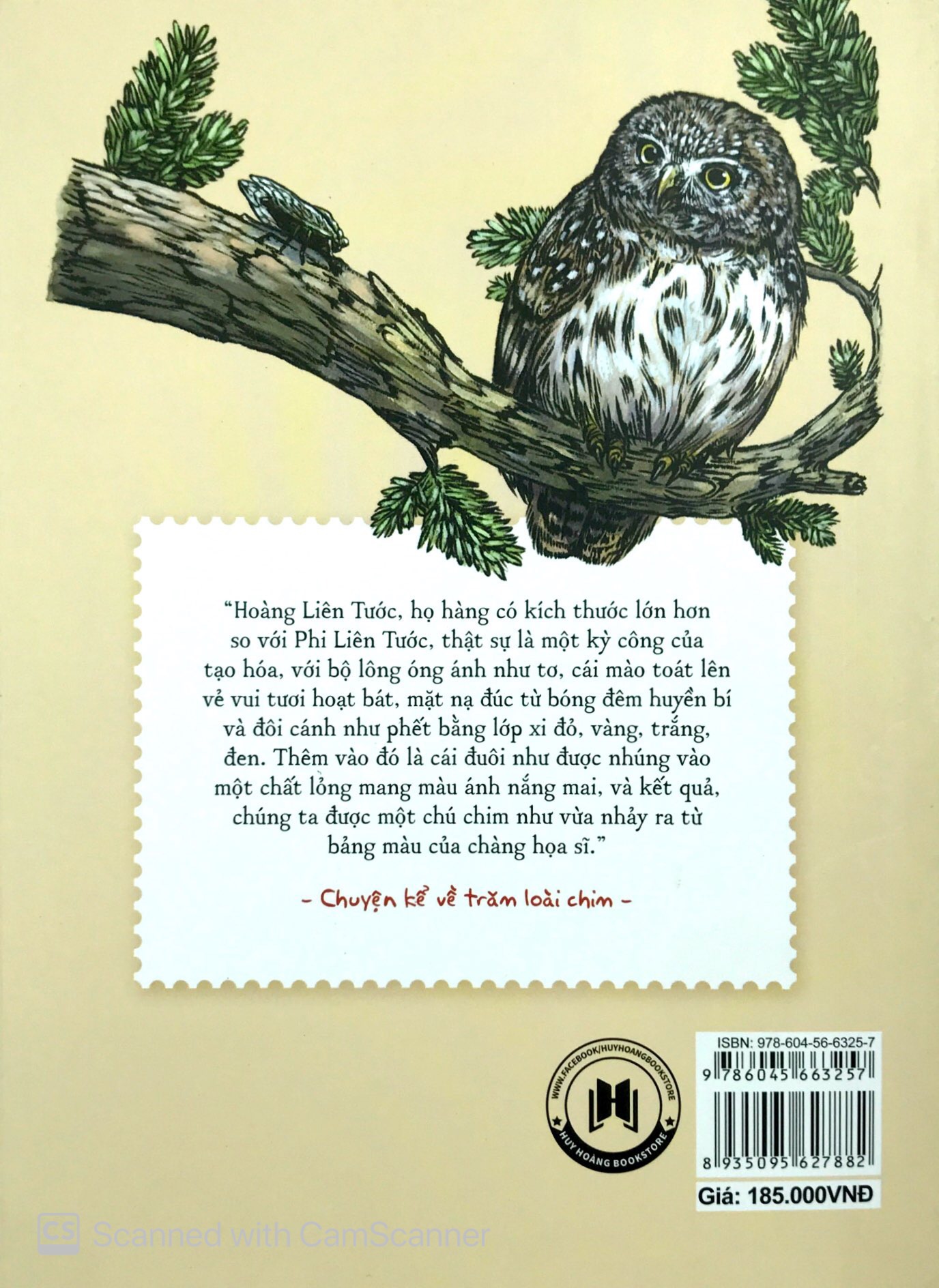 chuyện kể về trăm loài chim - Ảnh 11