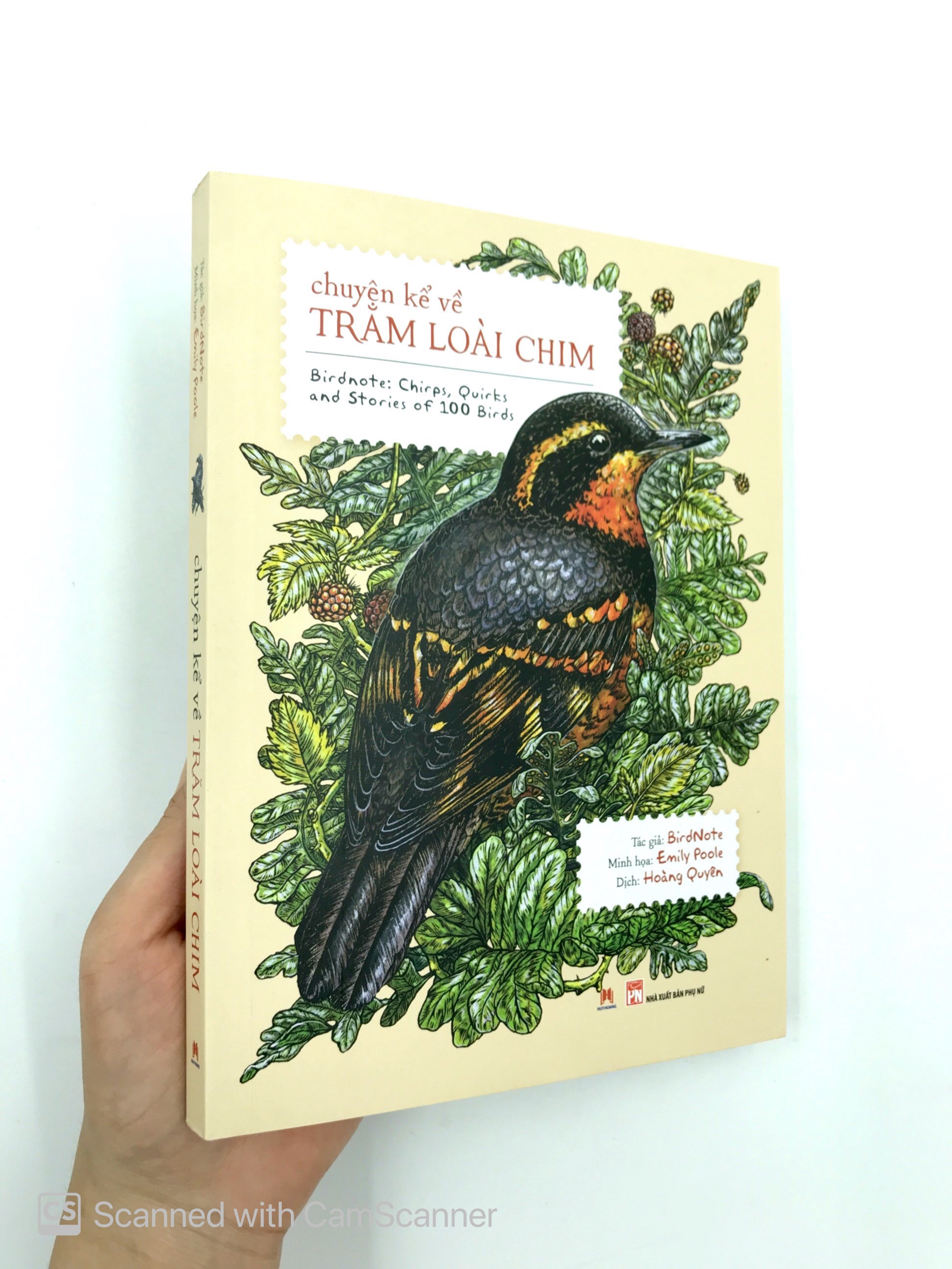 chuyện kể về trăm loài chim - Ảnh 12