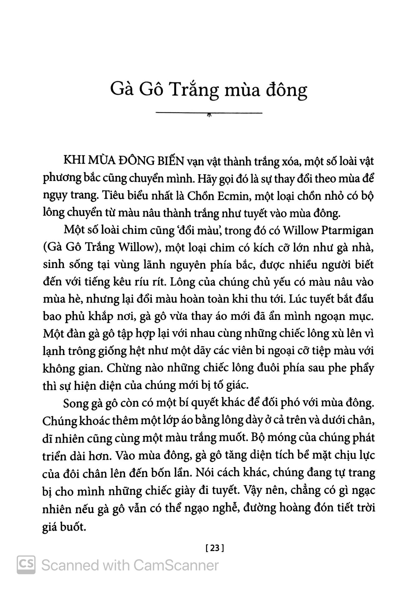 chuyện kể về trăm loài chim - Ảnh 8