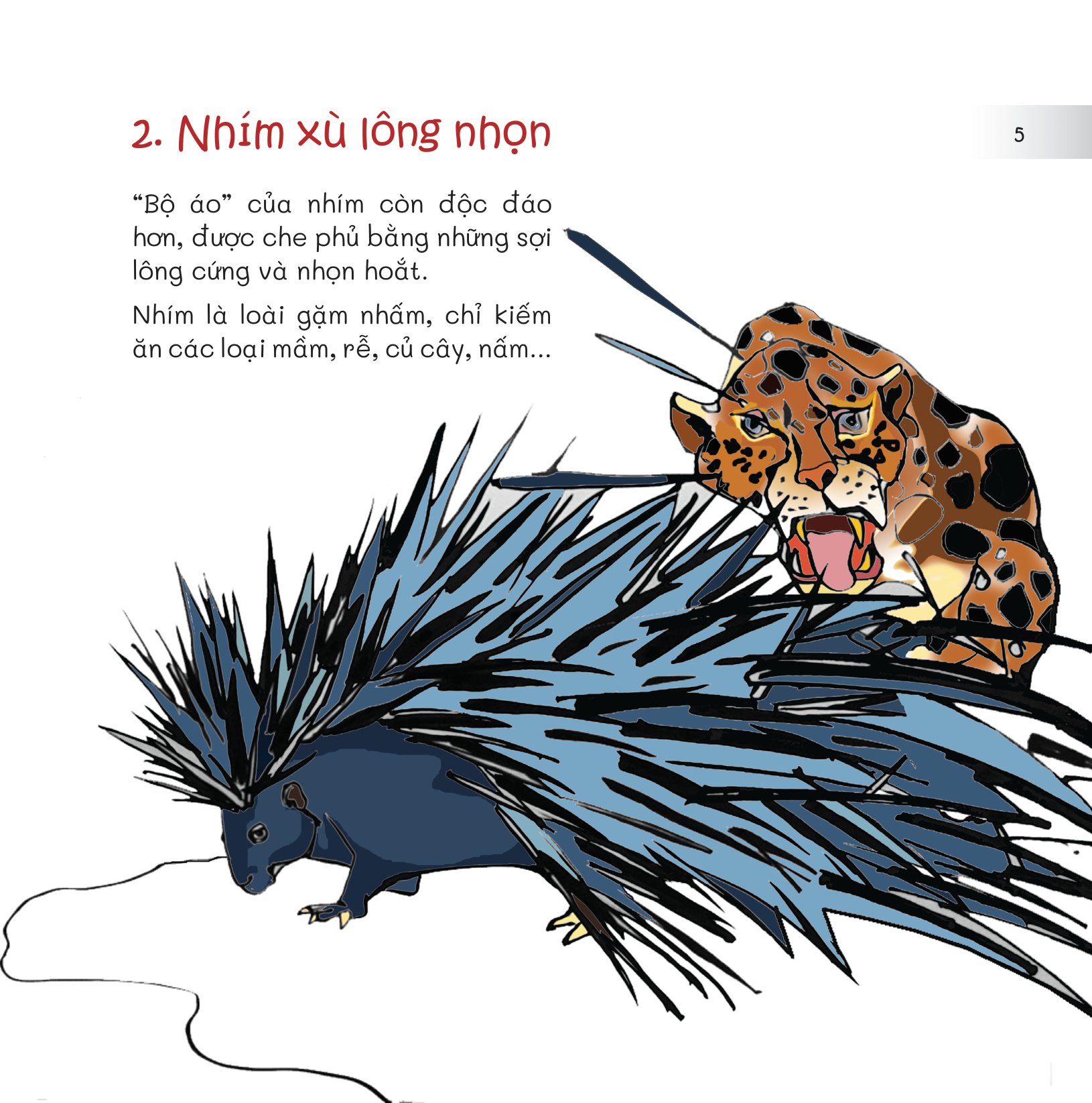 chuyện lạ loài vật - áo giáp, áo lông và cả áo vỏ - Ảnh 7