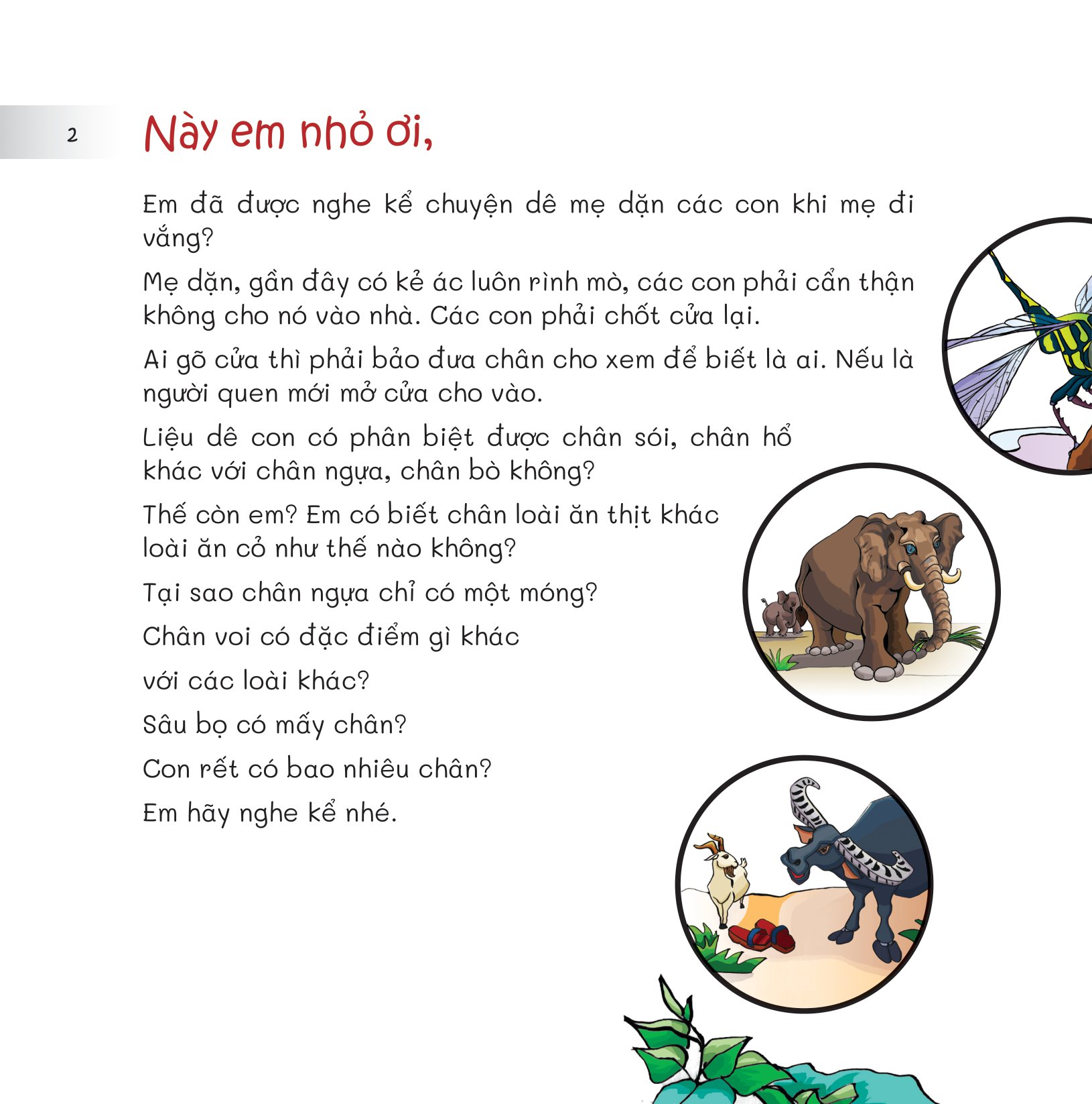 chuyện lạ loài vật - chân ải, chân ai? - Ảnh 4