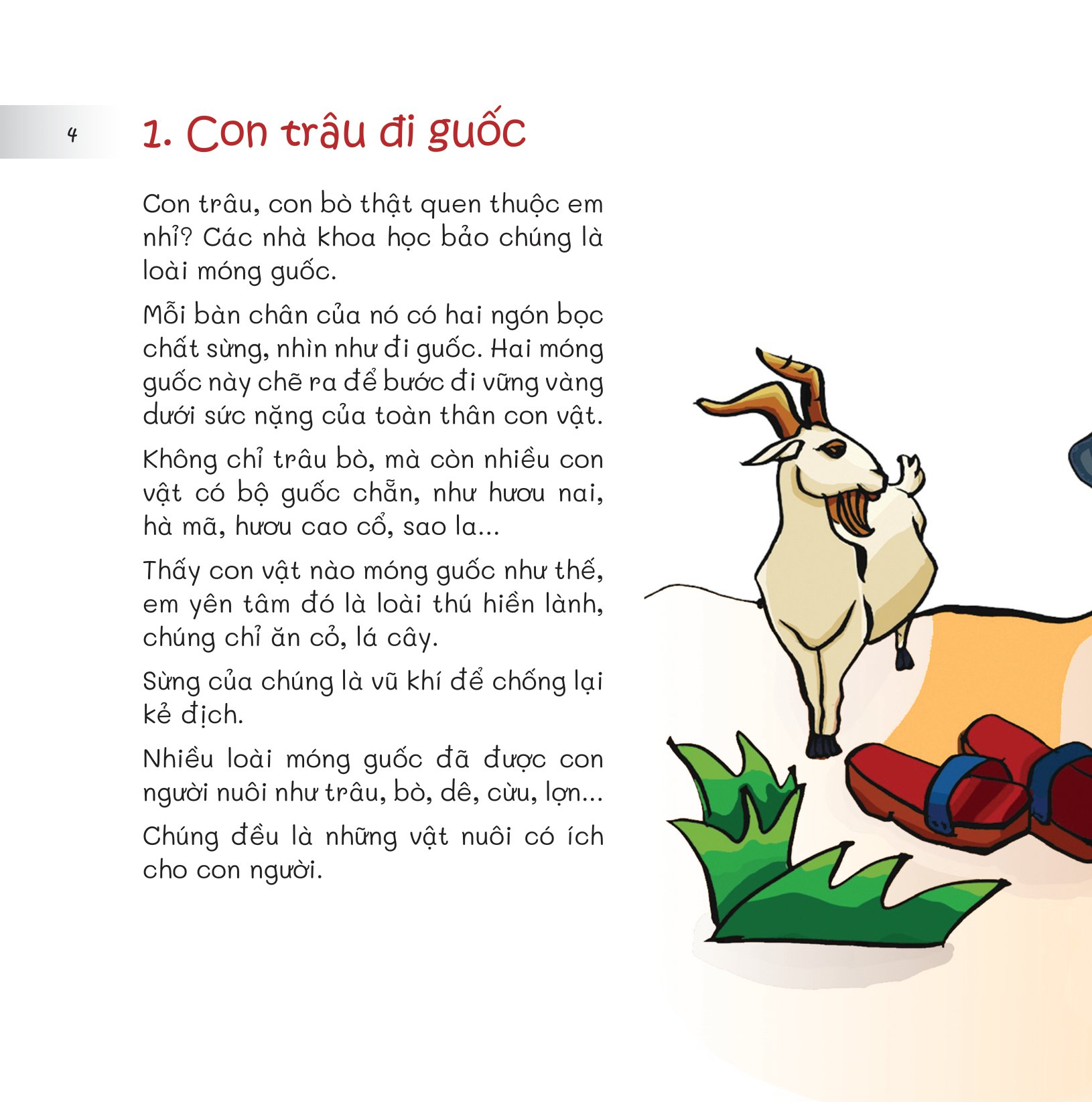 chuyện lạ loài vật - chân ải, chân ai? - Ảnh 6