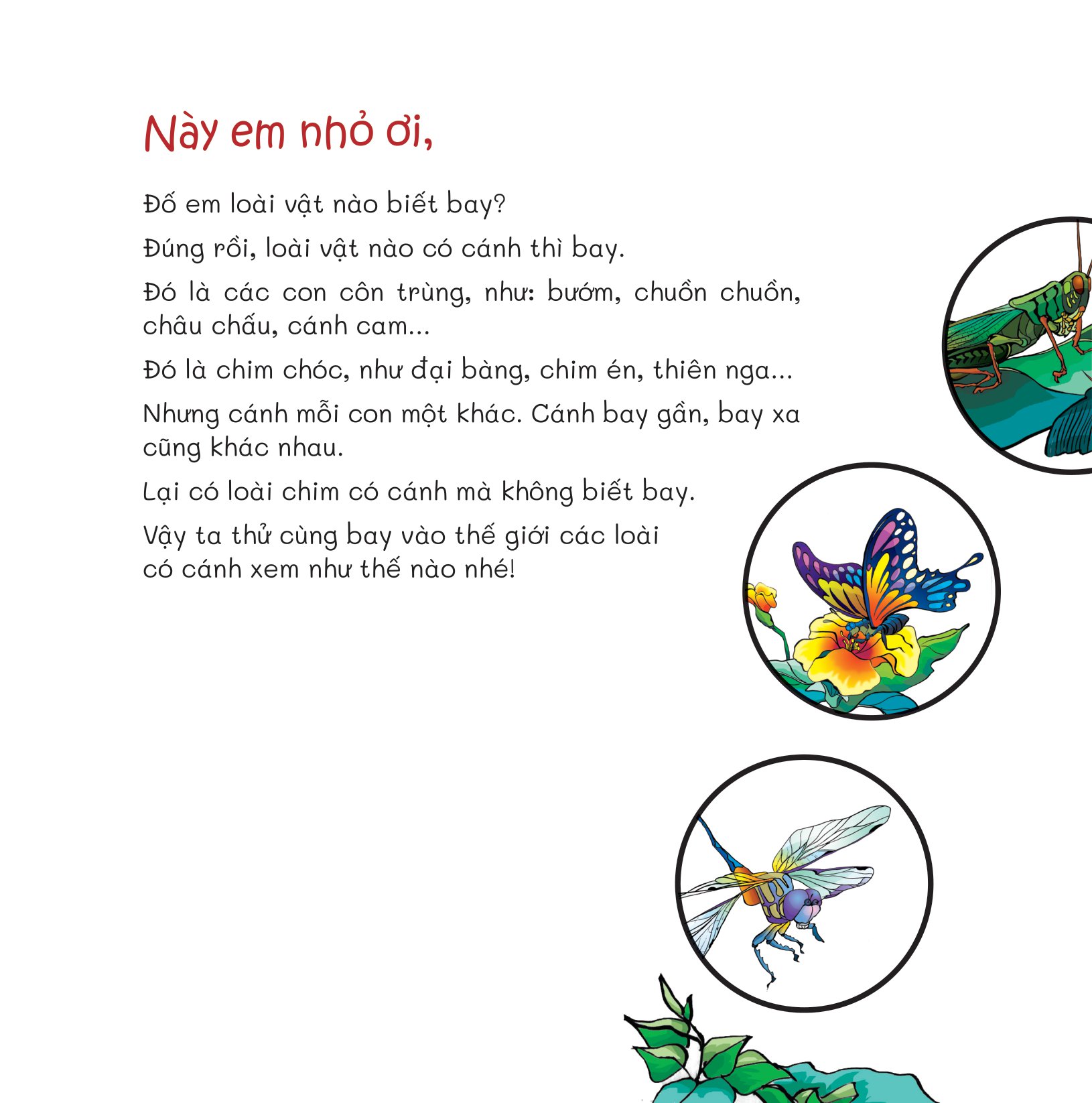 chuyện lạ loài vật - có cánh thì bay - Ảnh 4