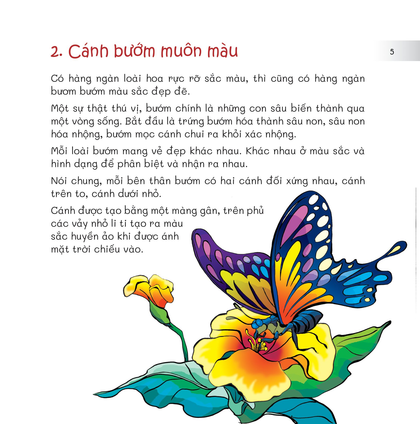 chuyện lạ loài vật - có cánh thì bay - Ảnh 7