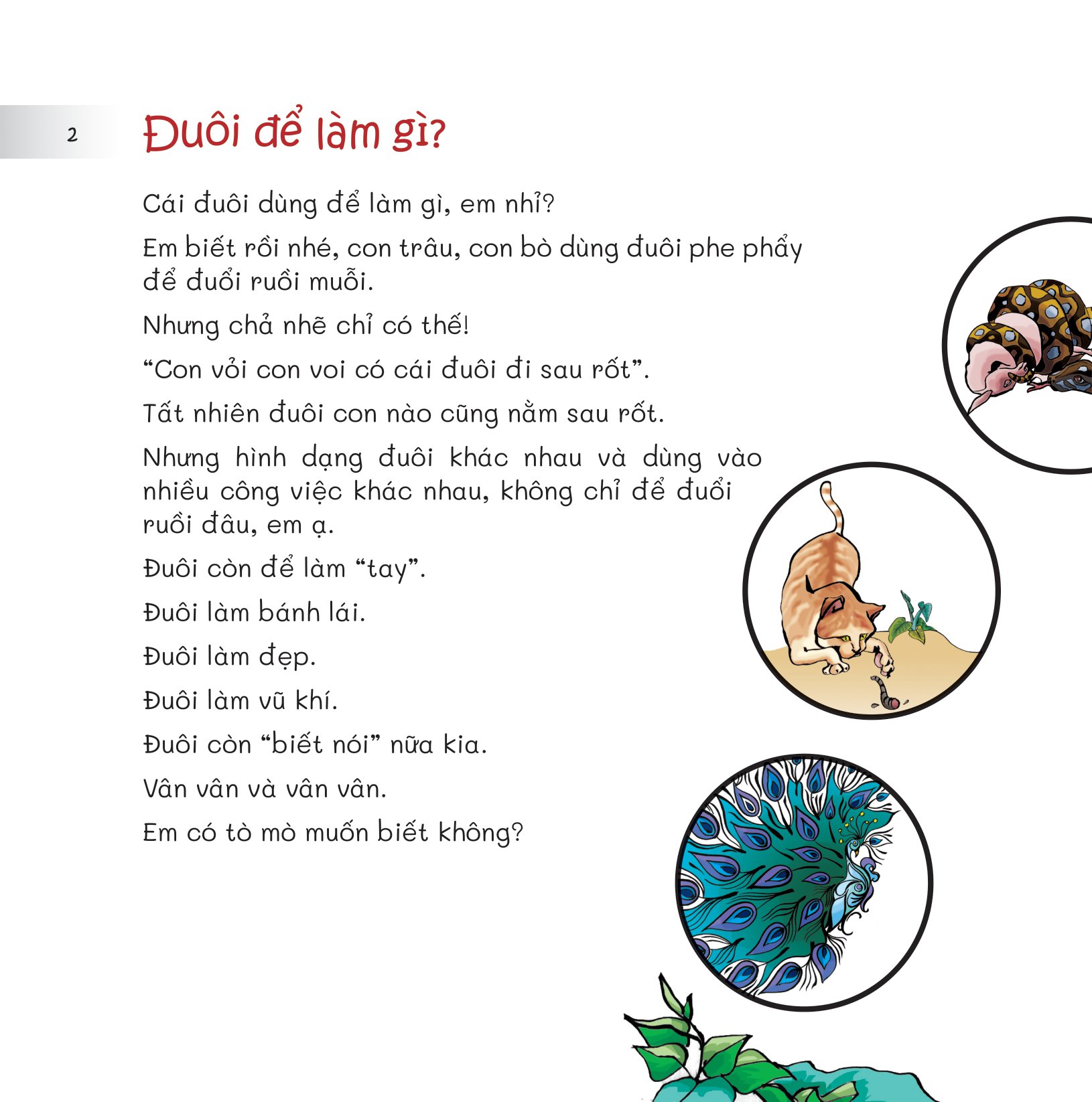 chuyện lạ loài vật - đuôi để làm gì? - Ảnh 4