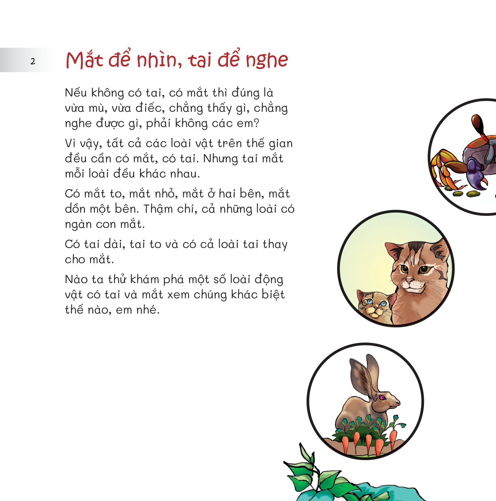 chuyện lạ loài vật - mắt để nhìn, tai để nghe - Ảnh 4