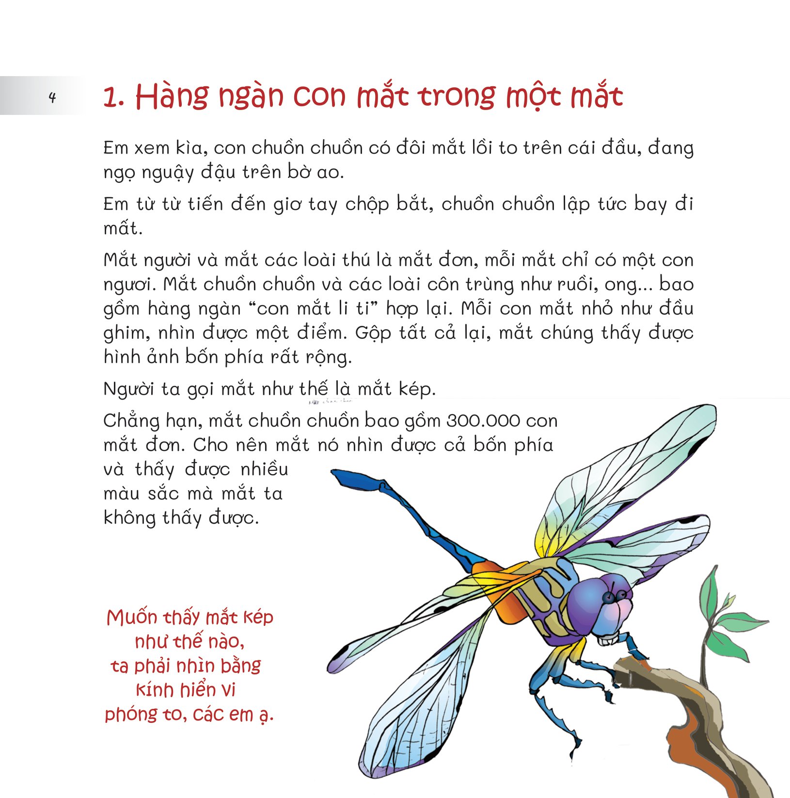 chuyện lạ loài vật - mắt để nhìn, tai để nghe - Ảnh 6