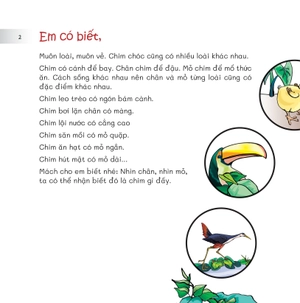 chuyện lạ loài vật - nhìn chân, nhìn mỏ biết rõ chim gì - Ảnh 4