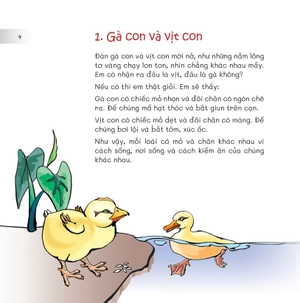 chuyện lạ loài vật - nhìn chân, nhìn mỏ biết rõ chim gì - Ảnh 6