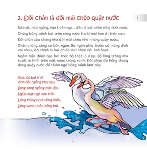 chuyện lạ loài vật - nhìn chân, nhìn mỏ biết rõ chim gì - Ảnh 7