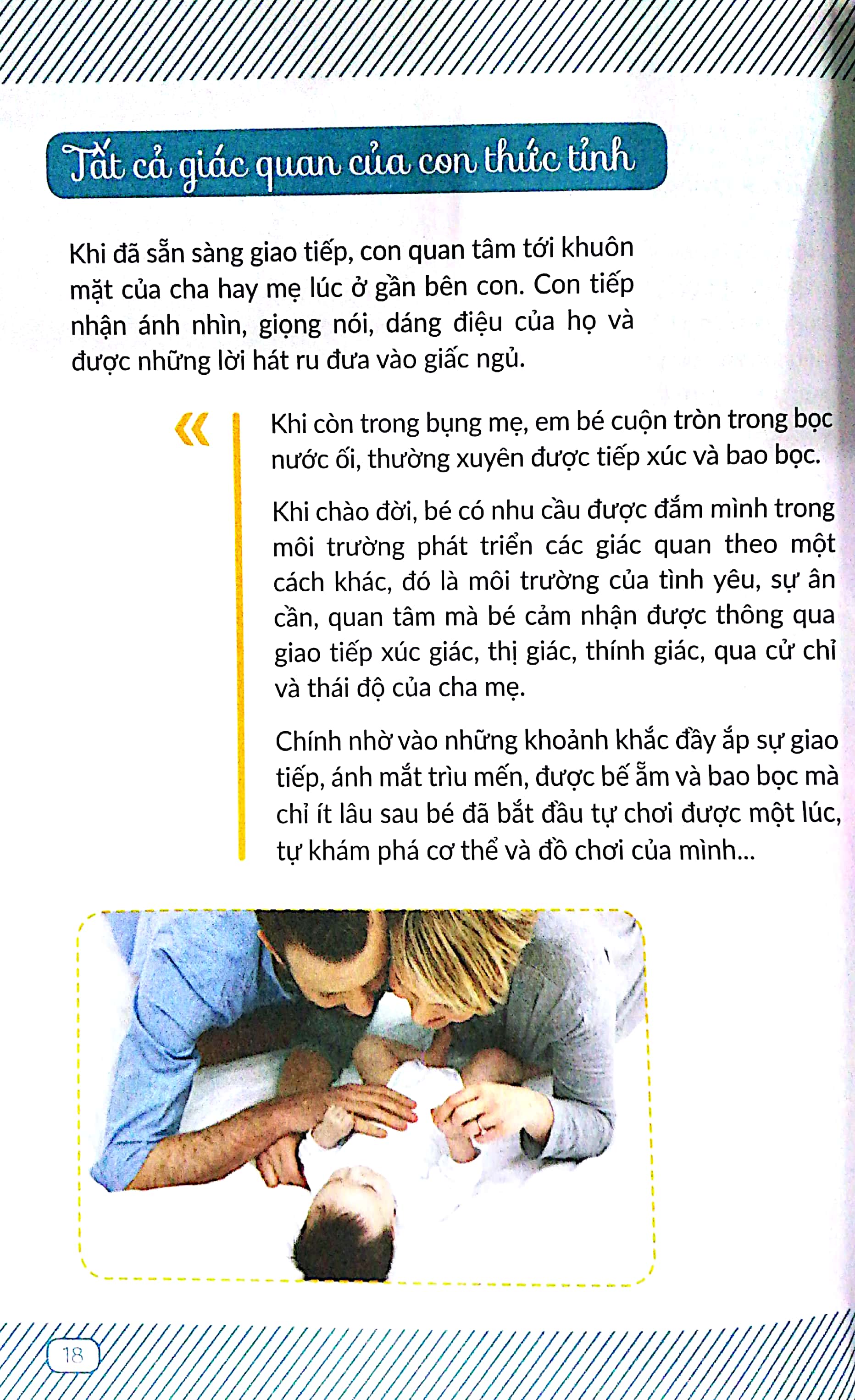 chuyến phiêu lưu của những bước đi - Ảnh 4