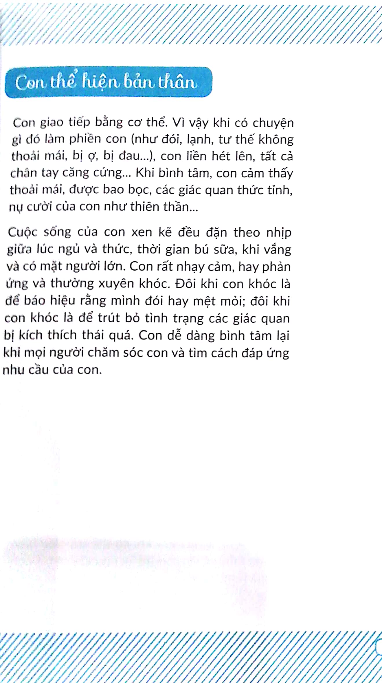 chuyến phiêu lưu của những bước đi - Ảnh 5