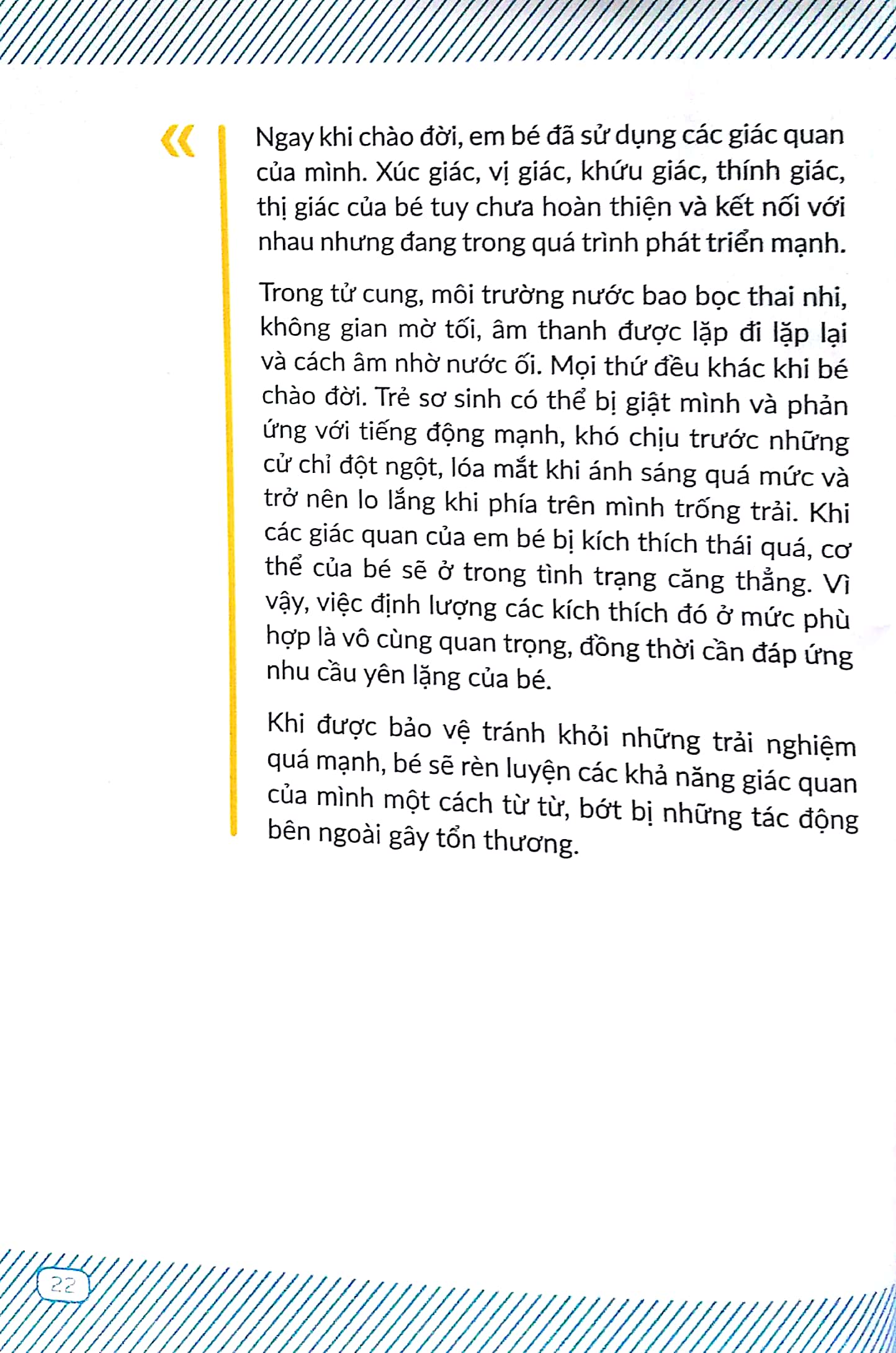 chuyến phiêu lưu của những bước đi - Ảnh 8
