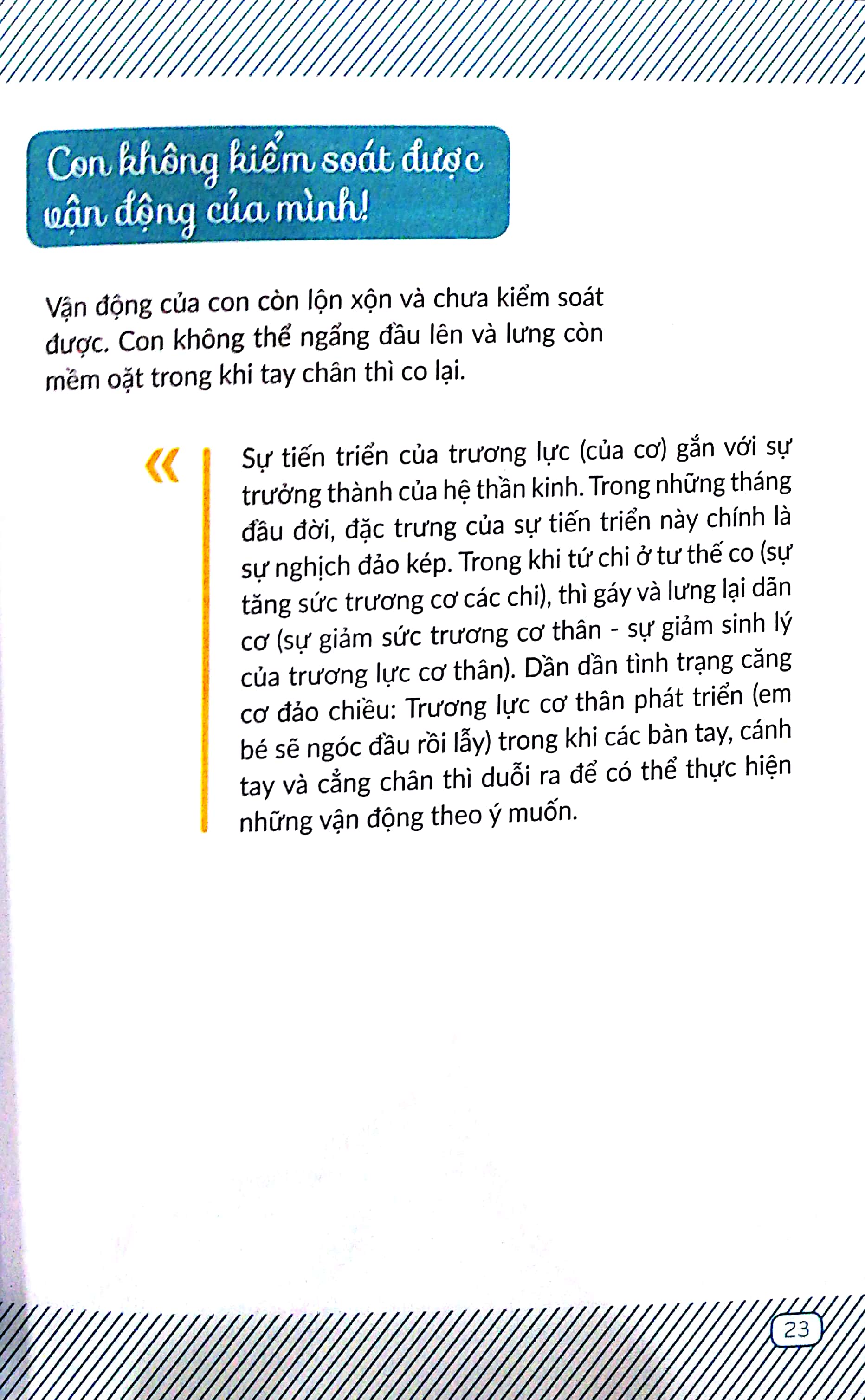 chuyến phiêu lưu của những bước đi - Ảnh 9