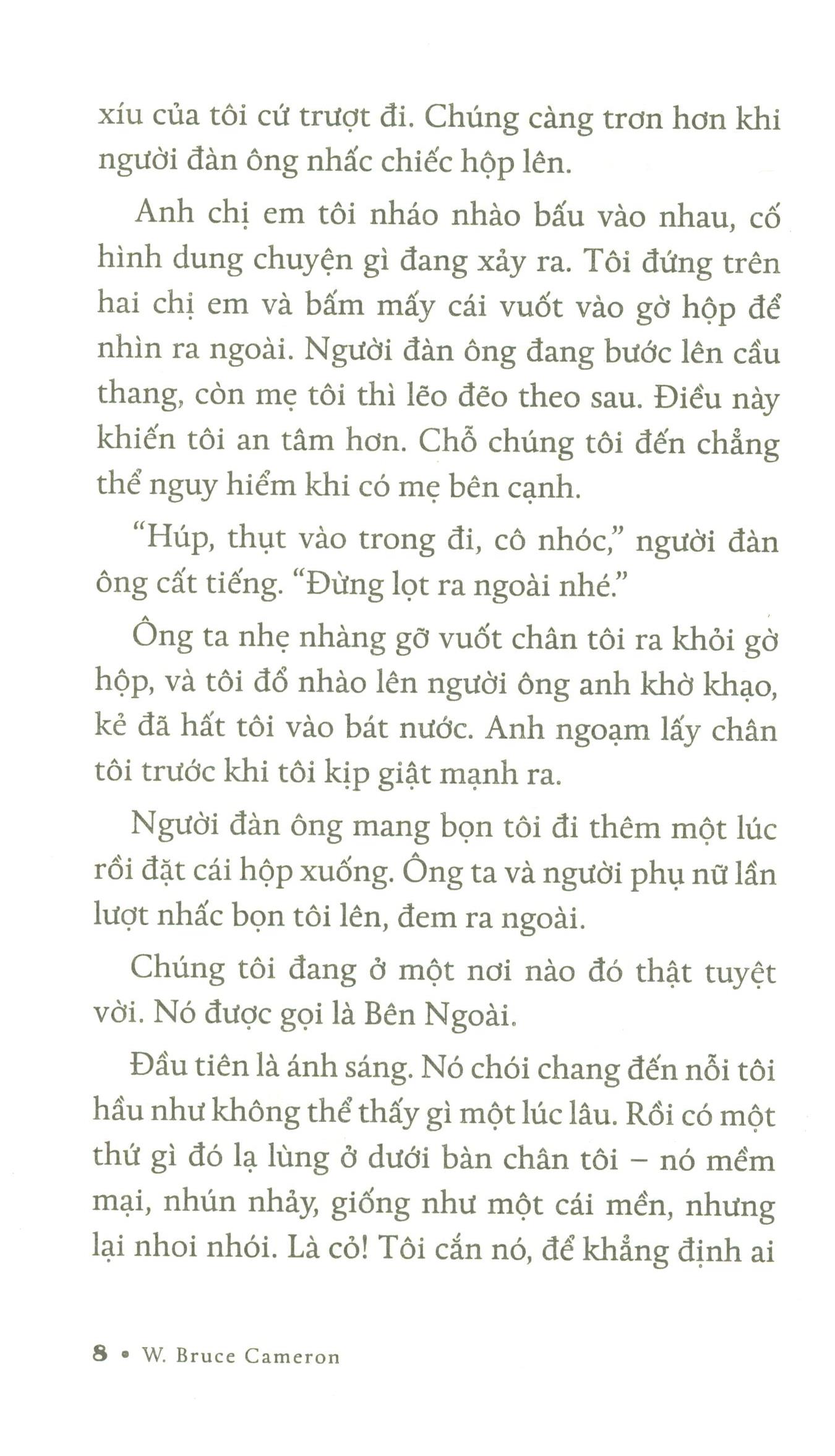 chuyện về ellie - chú chó trong tiểu thuyết mục đích sống của một chú chó - Ảnh 4