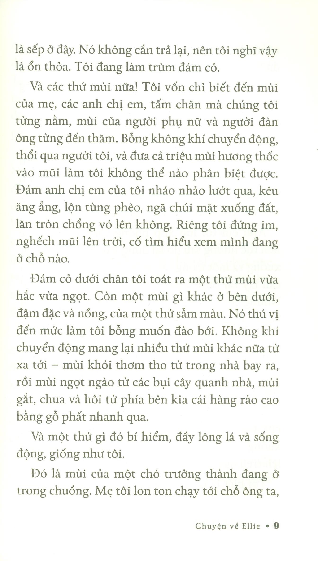 chuyện về ellie - chú chó trong tiểu thuyết mục đích sống của một chú chó - Ảnh 5