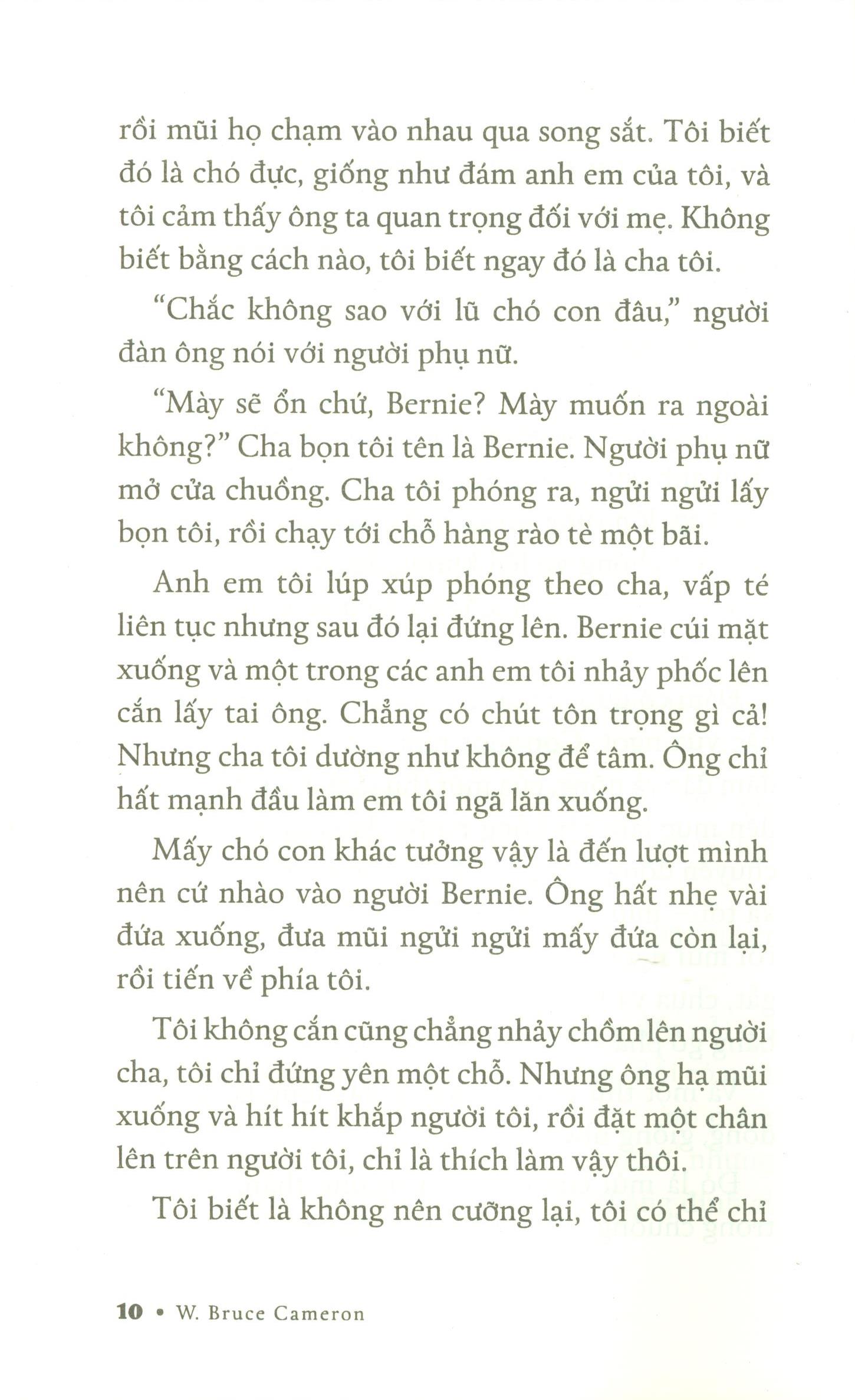chuyện về ellie - chú chó trong tiểu thuyết mục đích sống của một chú chó - Ảnh 6