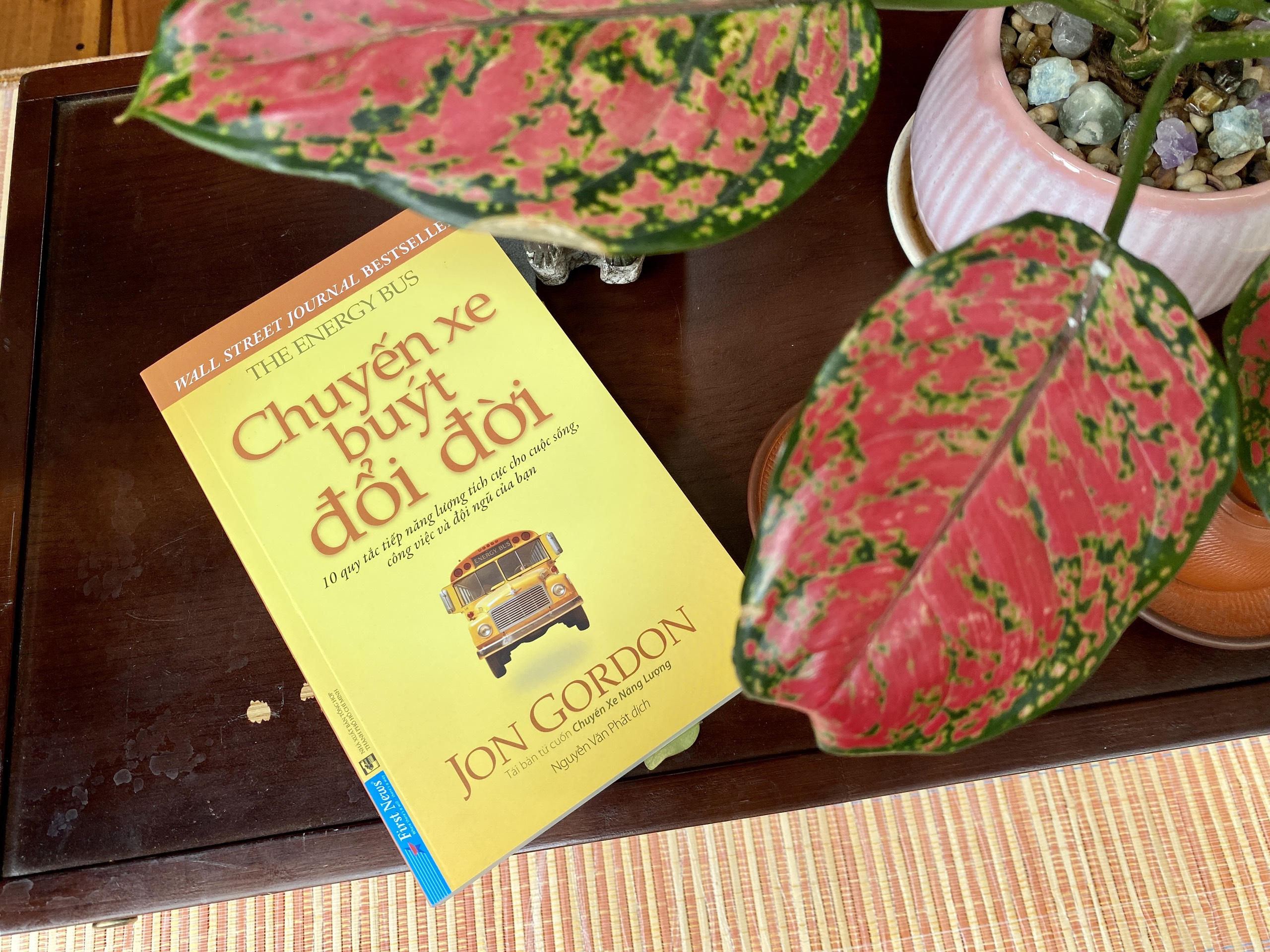 chuyến xe buýt đổi đời - Ảnh 4