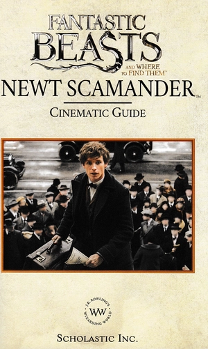 cinematic guide: newt scamander - Ảnh 3