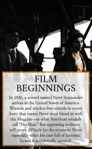 cinematic guide: newt scamander - Ảnh 5