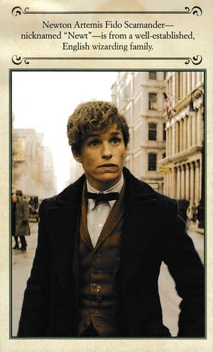 cinematic guide: newt scamander - Ảnh 7