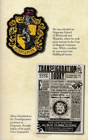 cinematic guide: newt scamander - Ảnh 8