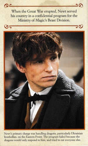 cinematic guide: newt scamander - Ảnh 9