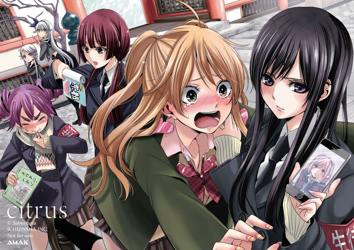 citrus - tập 4 - bản đặc biệt - tặng kèm postcard hai mặt + bìa áo + leaflet + khung tranh acrylic + poster a3 - Ảnh 5