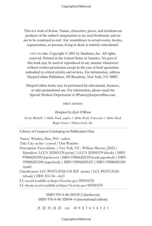 city on fire - Ảnh 5