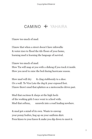 clap when you land - Ảnh 4