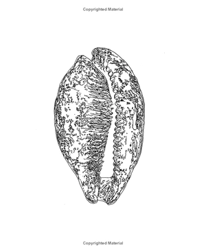 clouds in a teacup: a mindful journey and coloring book - Ảnh 10