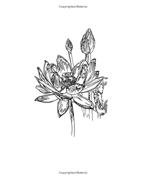 clouds in a teacup: a mindful journey and coloring book - Ảnh 7