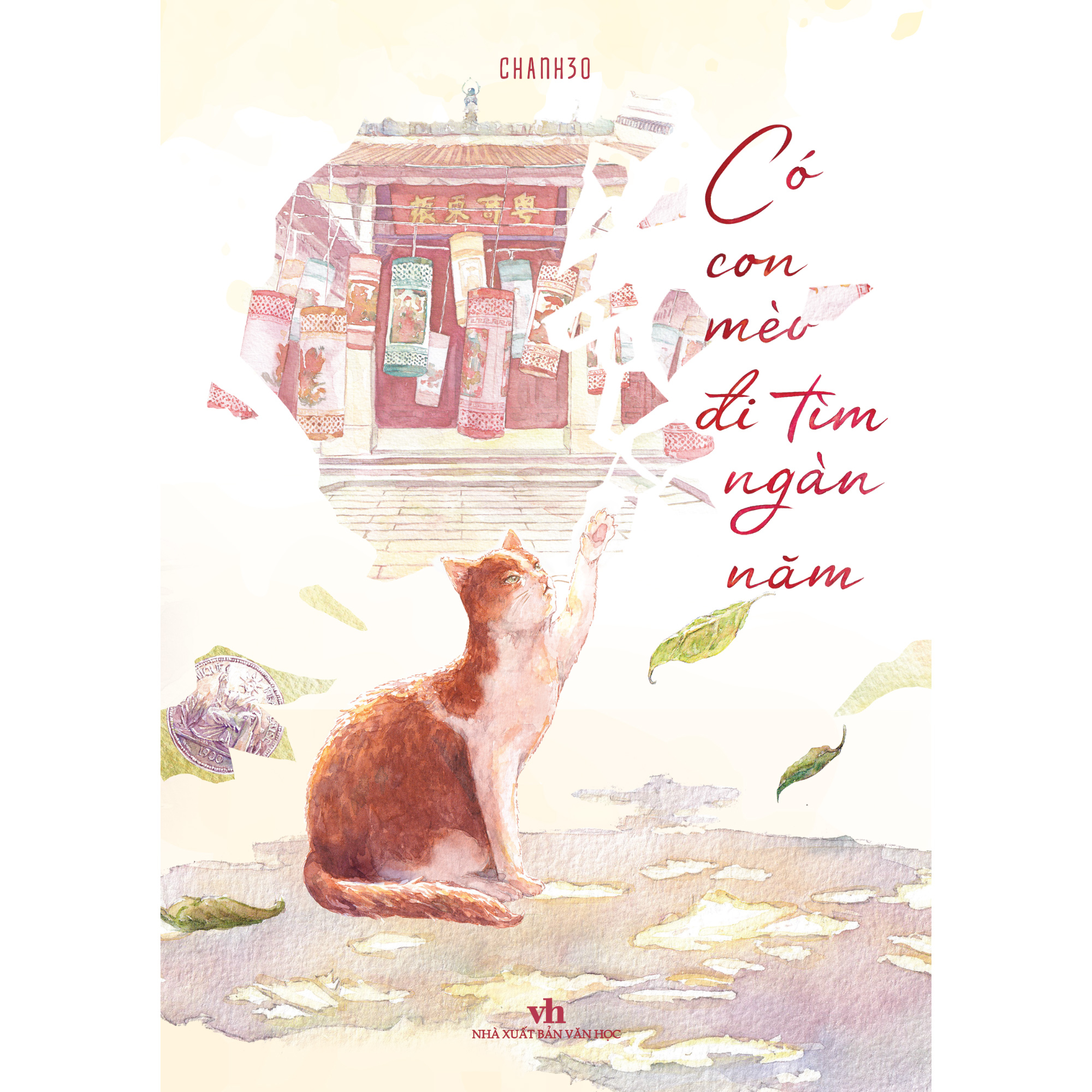 có con mèo đi tìm ngàn năm - Ảnh 2