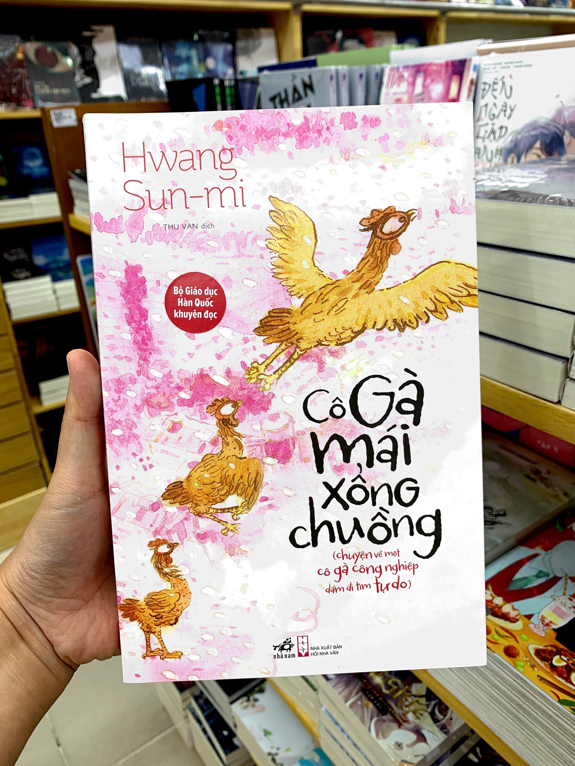 cô gà mái xổng chuồng - Ảnh 10