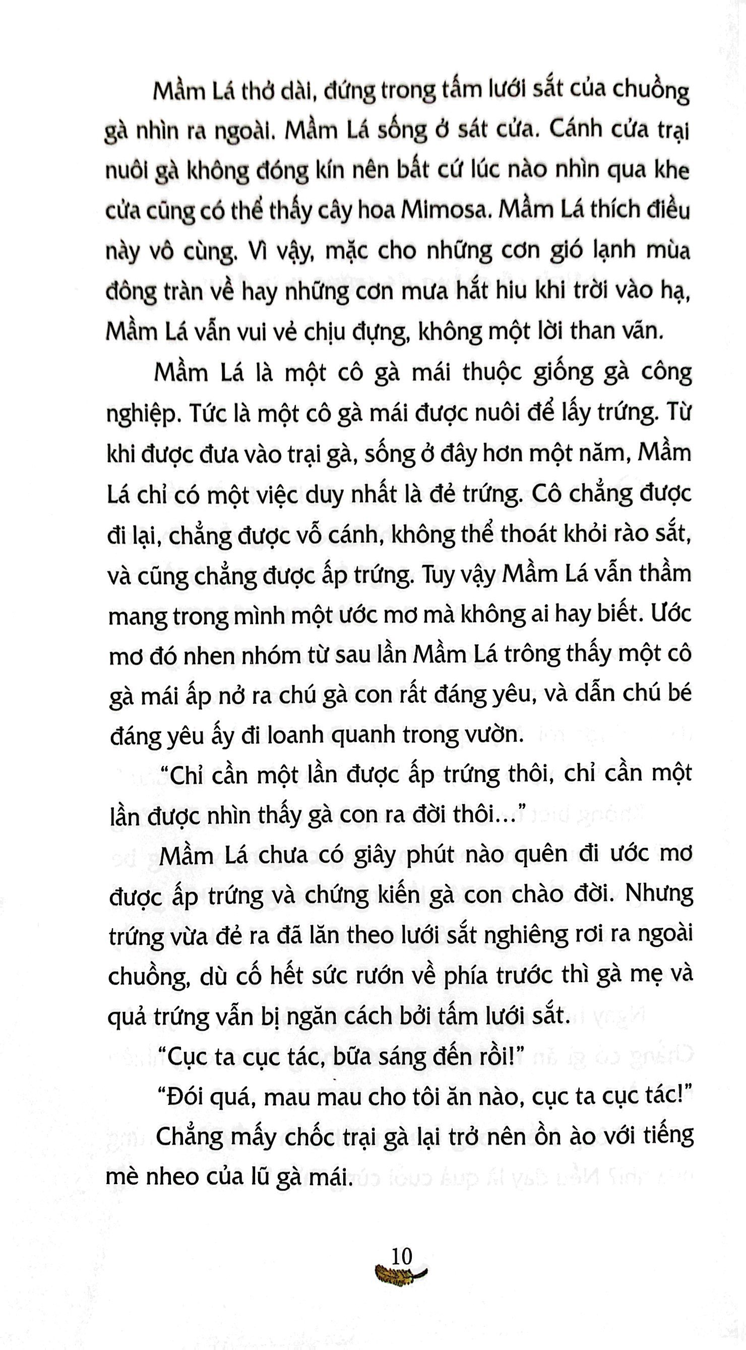 cô gà mái xổng chuồng - Ảnh 6