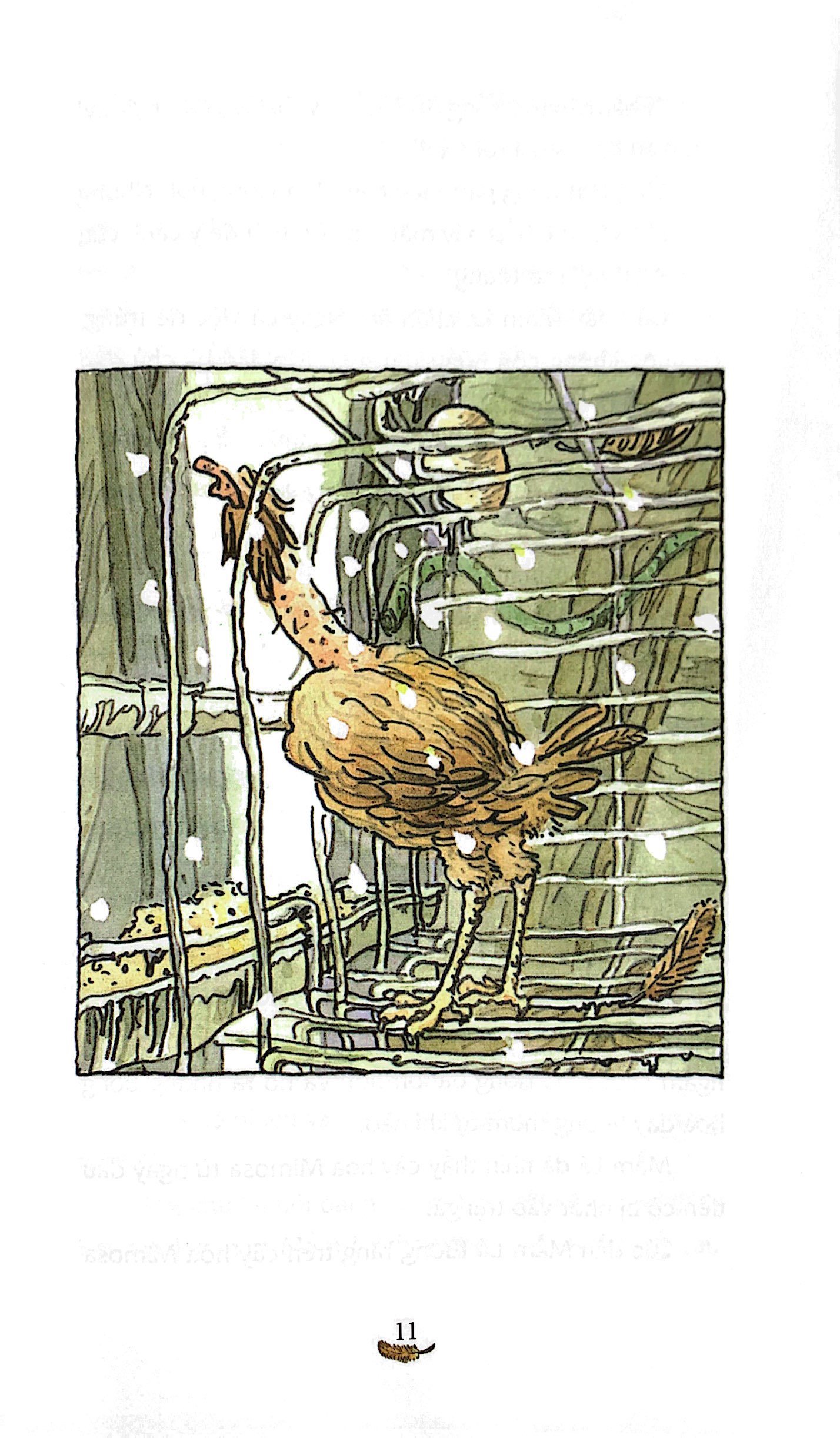 cô gà mái xổng chuồng - Ảnh 7