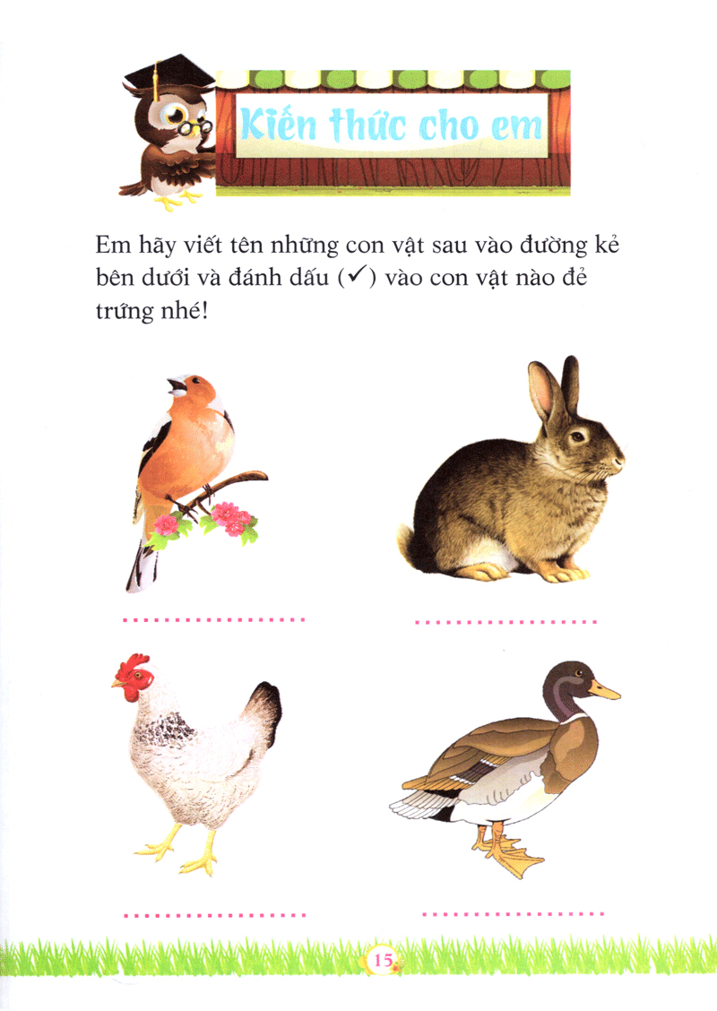 cô gái vắt sữa - những câu chuyện giáo dục - Ảnh 15