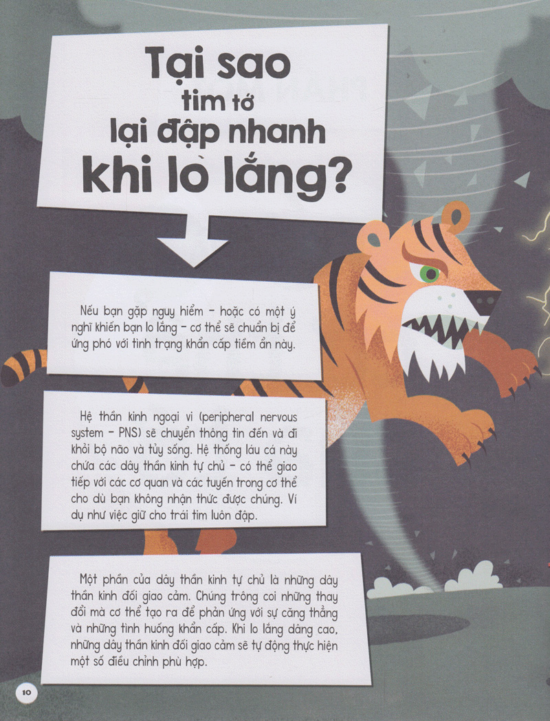 có gì trước big bang? - Ảnh 6