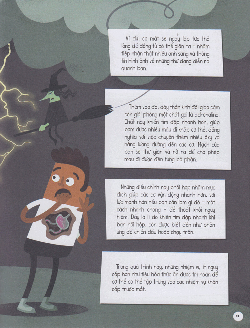 có gì trước big bang? - Ảnh 7