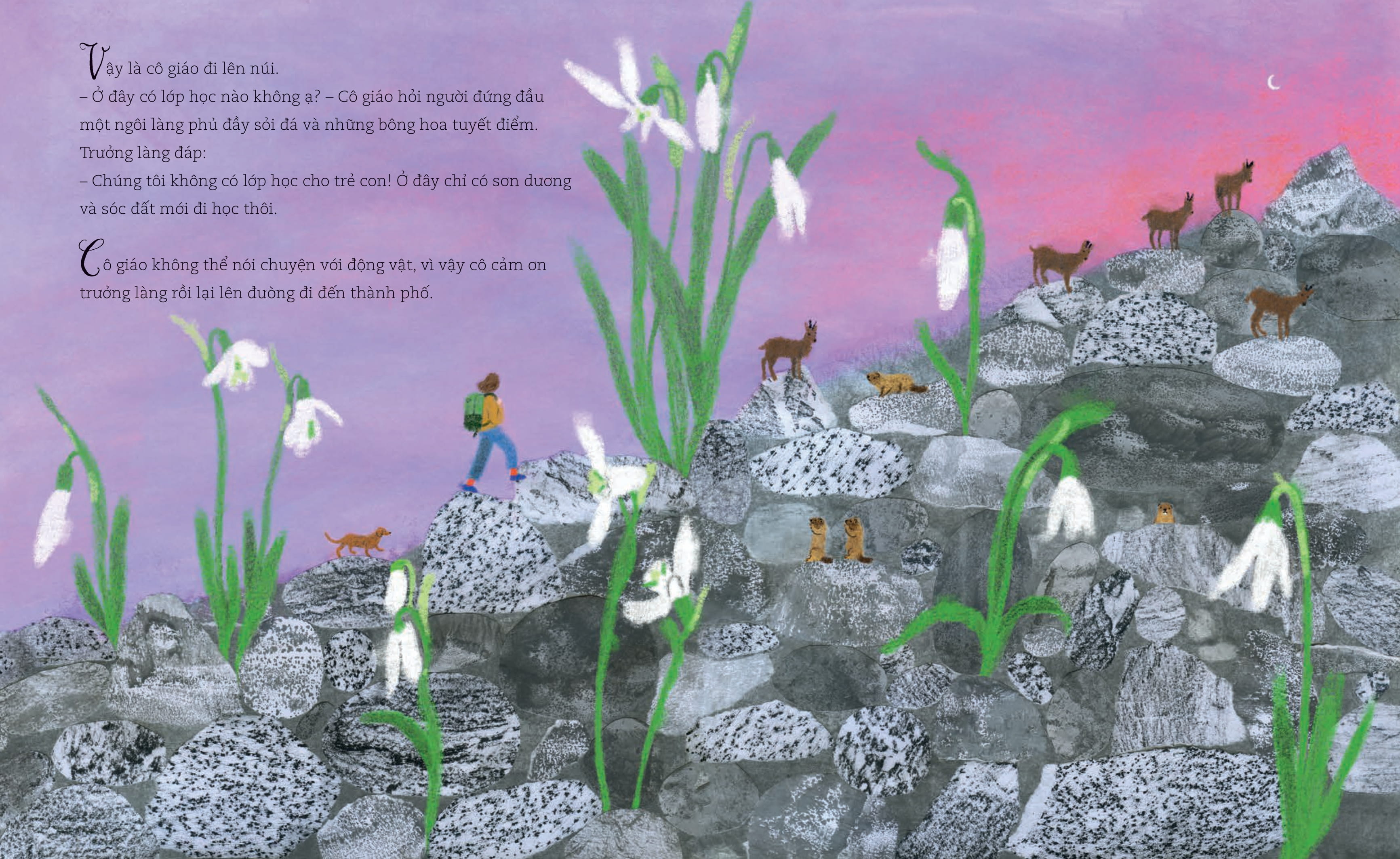 Cô Giáo Của Chúng Em - Ảnh 4