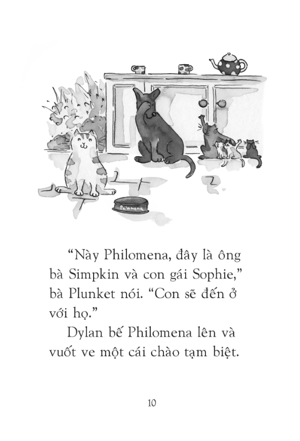 cô mèo tưởng mình là chó - Ảnh 6