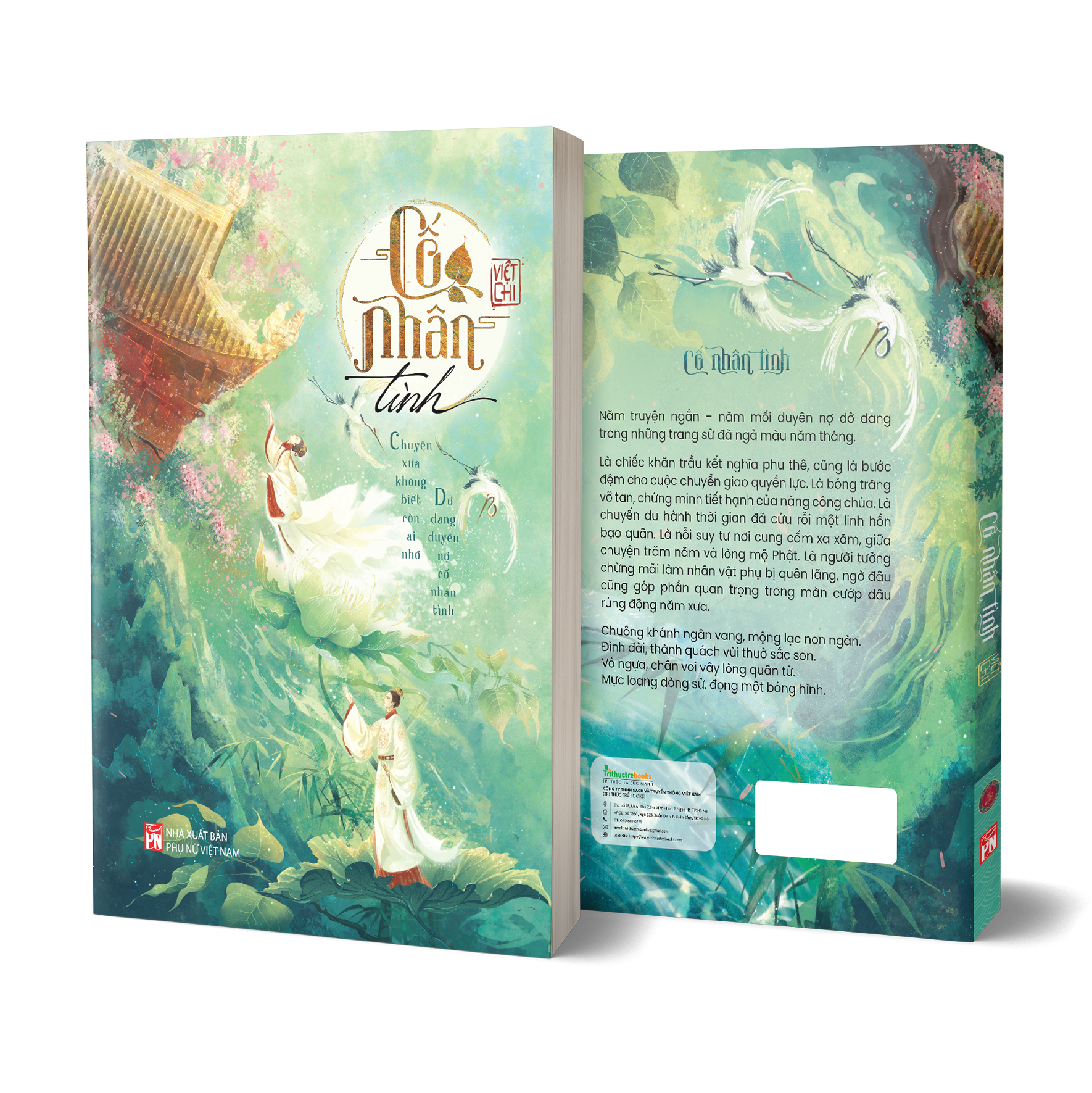 Cố Nhân Tình - Ảnh 4