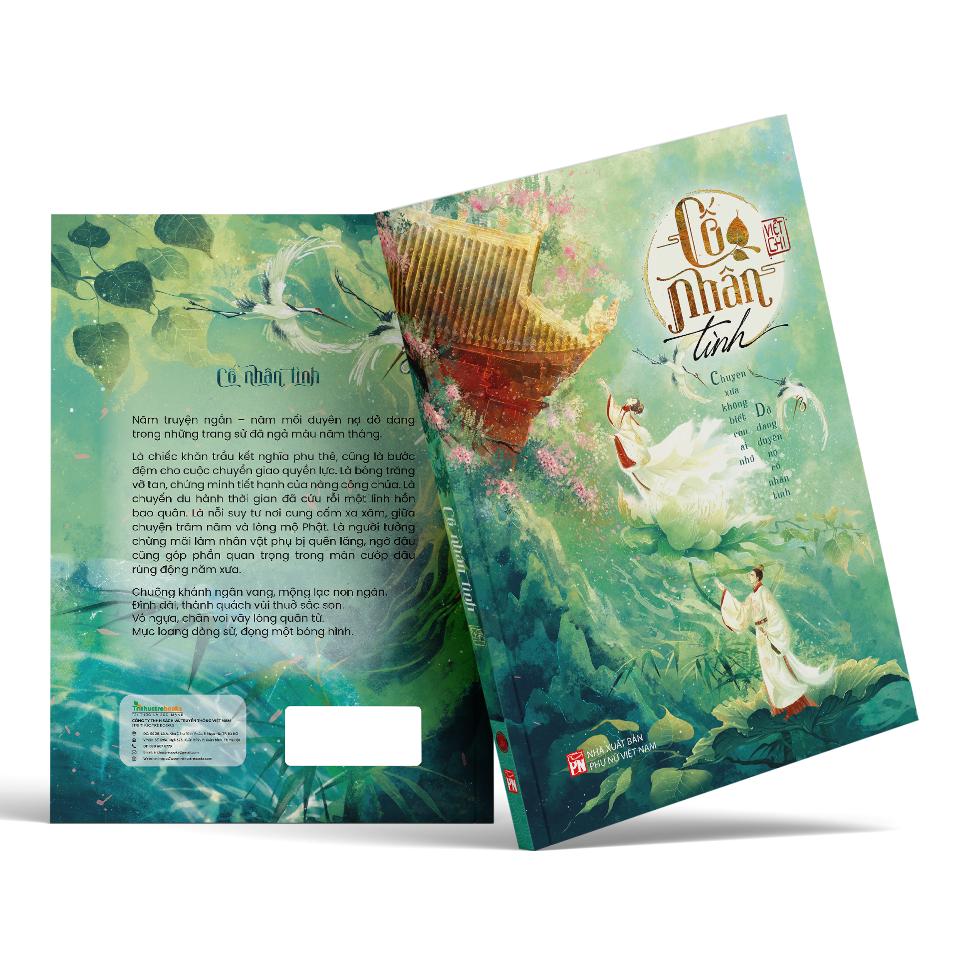 Cố Nhân Tình - Ảnh 5