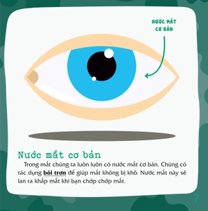 có thể bạn chưa biết - vì sao chúng ta... khóc? - Ảnh 8