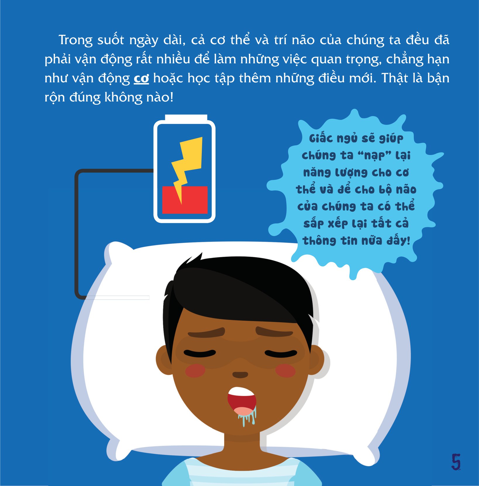 có thể bạn chưa biết - vì sao chúng ta... ngủ? - Ảnh 6