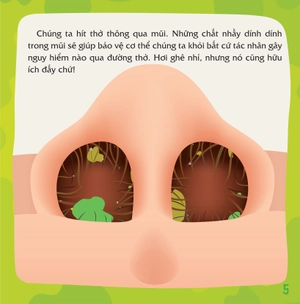 có thể bạn chưa biết - vì sao chúng ta... sổ mũi? - Ảnh 6