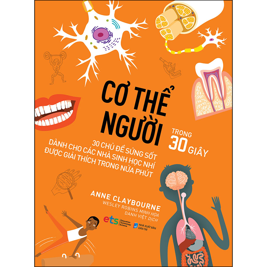 cơ thể người - trong 30 giây - Ảnh 2